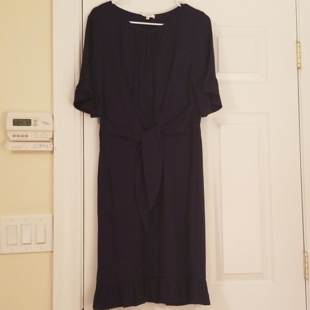 Nordstrom Pleione dress